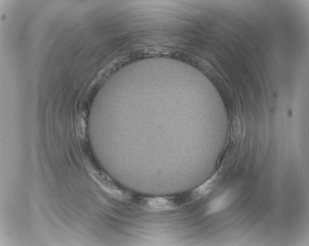 X0000052570183200507292016