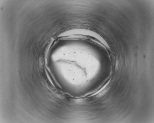 X0000052570184200507292016