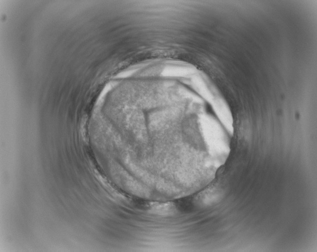 X0000052570185200507292016