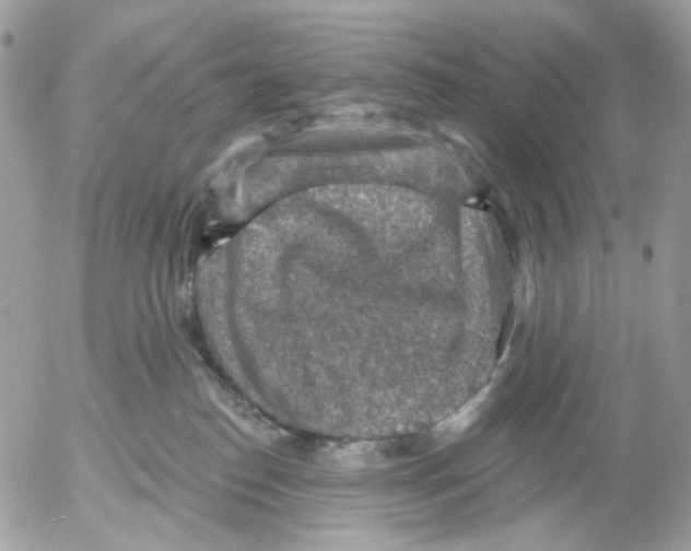 X0000052570186200507292016