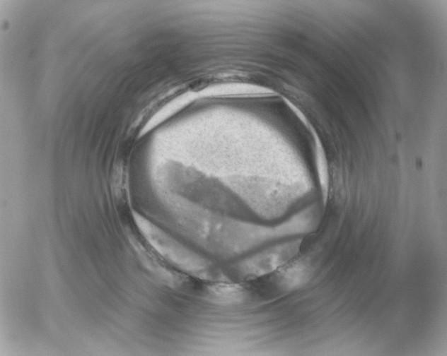 X0000052570189200507292016