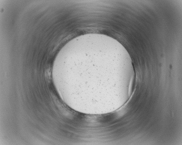 X0000052570190200507292016