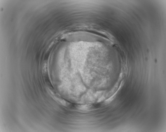 X0000052570191200507292016