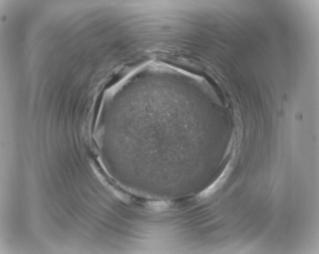 X0000052570192200507292016