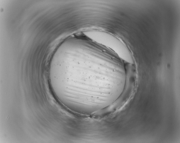 X0000052570193200507292015