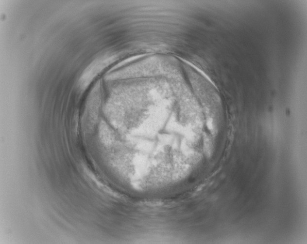 X0000052570194200507292015