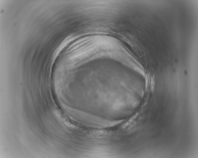 X0000052570195200507292015