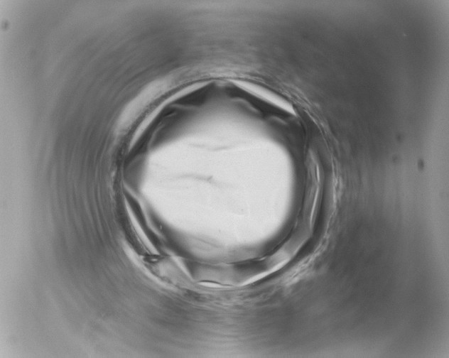 X0000052570197200507292015