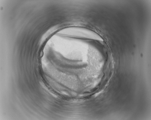 X0000052570198200507292015