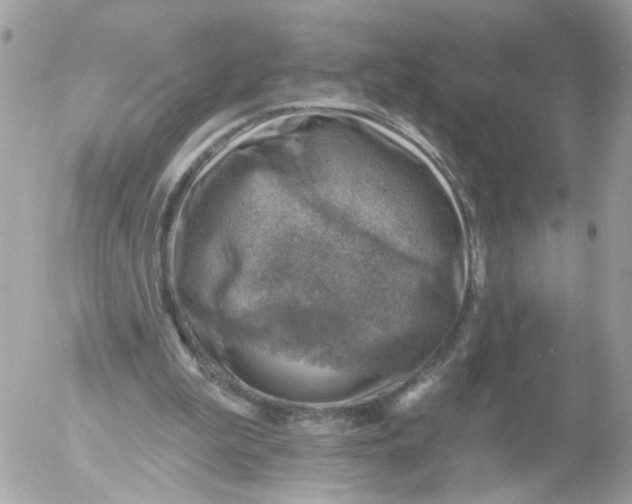 X0000052570199200507292015