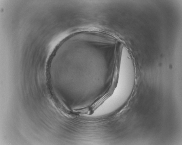 X0000052570200200507292015