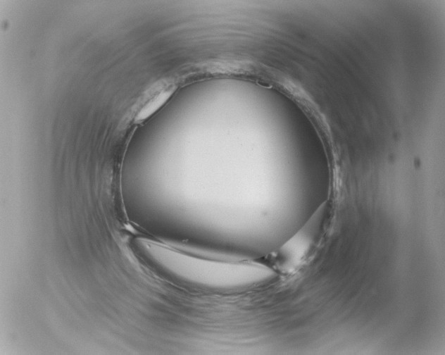 X0000052570201200507292015