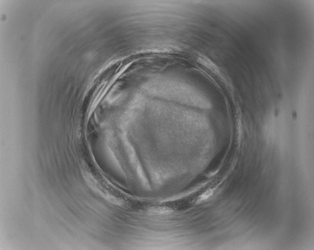 X0000052570203200507292015