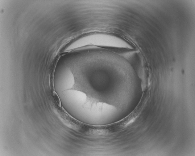 X0000052570205200507292015