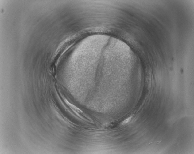 X0000052570207200507292015