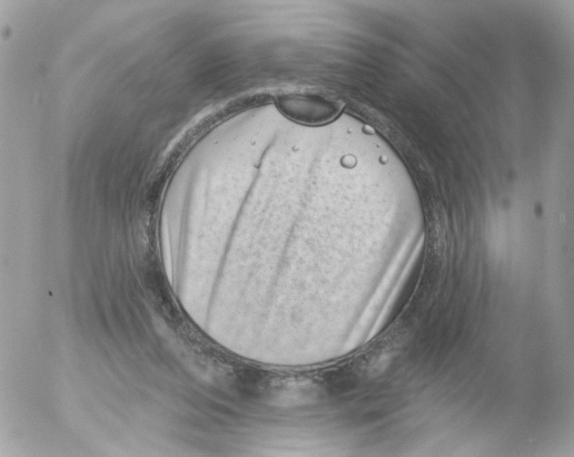 X0000052570208200507292015