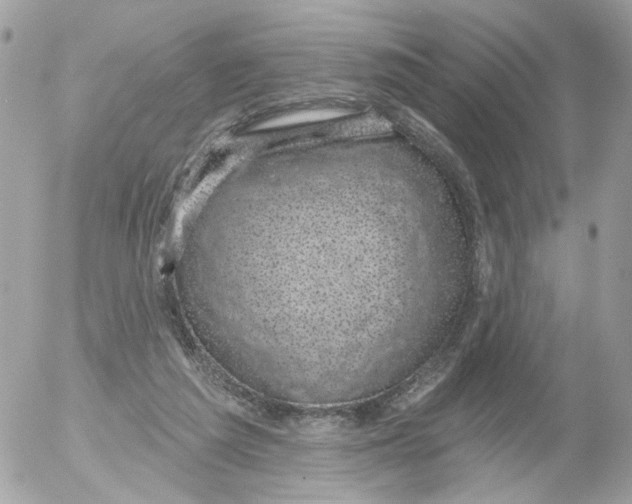 X0000052570209200507292015