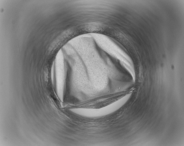 X0000052570210200507292015