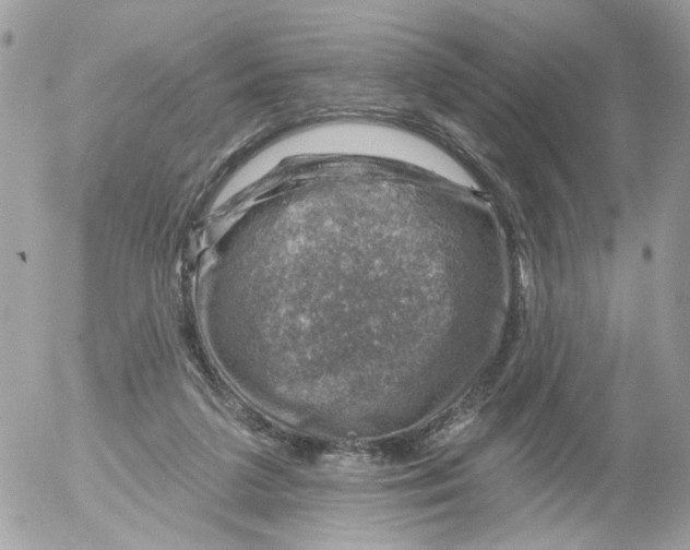 X0000052570211200507292015