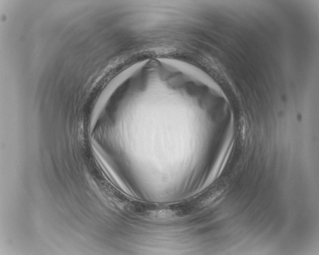 X0000052570212200507292015