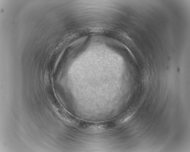 X0000052570213200507292015