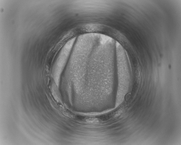 X0000052570214200507292015