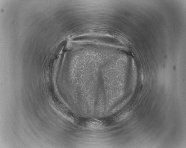 X0000052570215200507292015