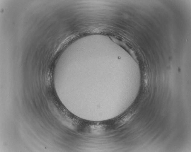 X0000052570216200507292015