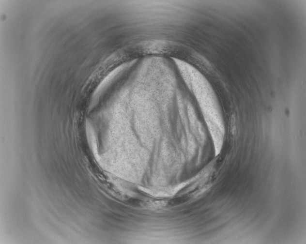 X0000052570217200507292015