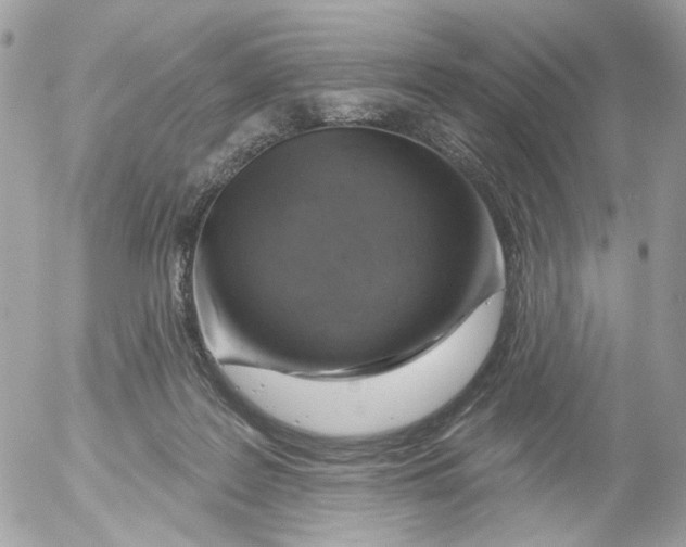 X0000052570219200507292014