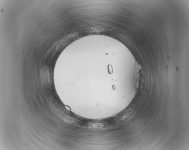 X0000052570220200507292014