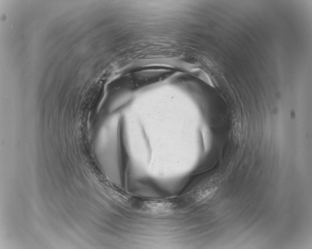 X0000052570221200507292014