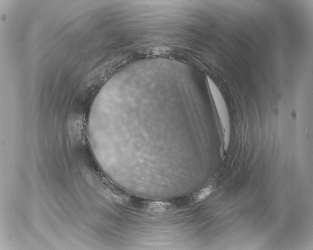 X0000052570222200507292014