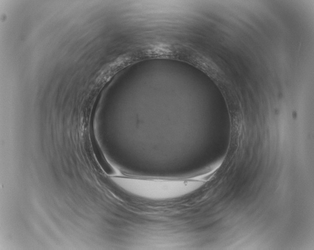 X0000052570223200507292014