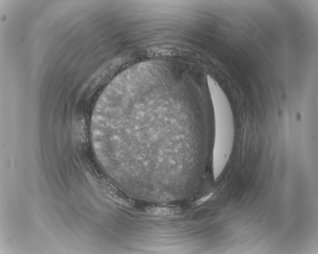 X0000052570224200507292014