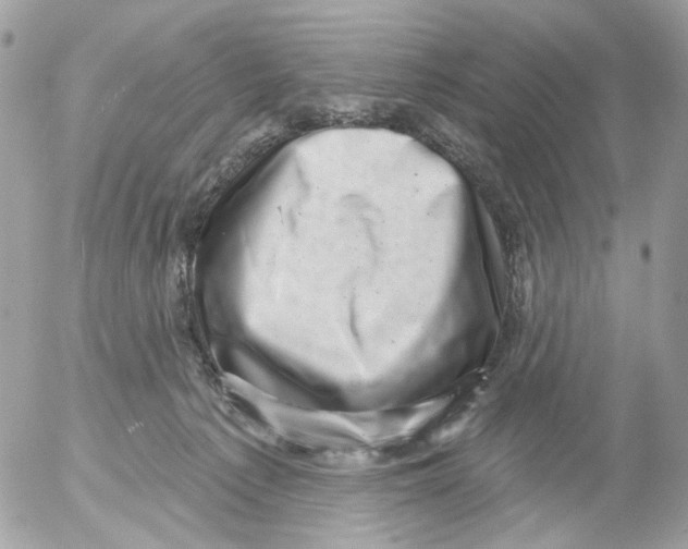 X0000052570225200507292014