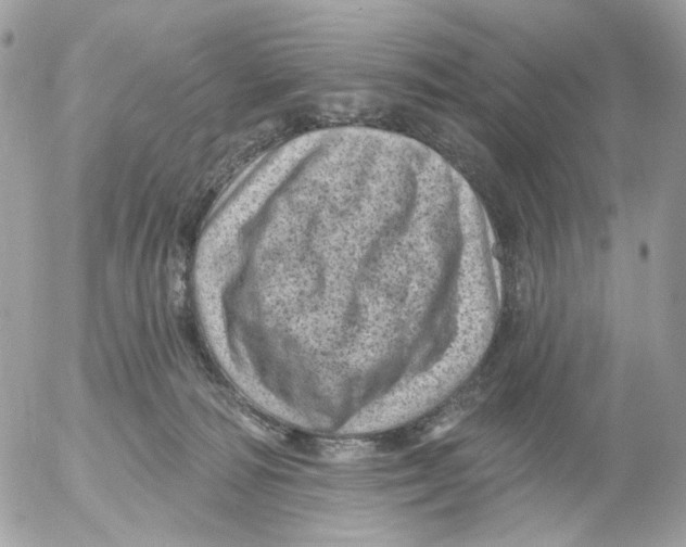 X0000052570226200507292014