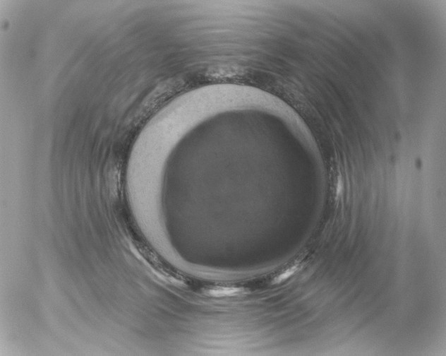 X0000052570227200507292014