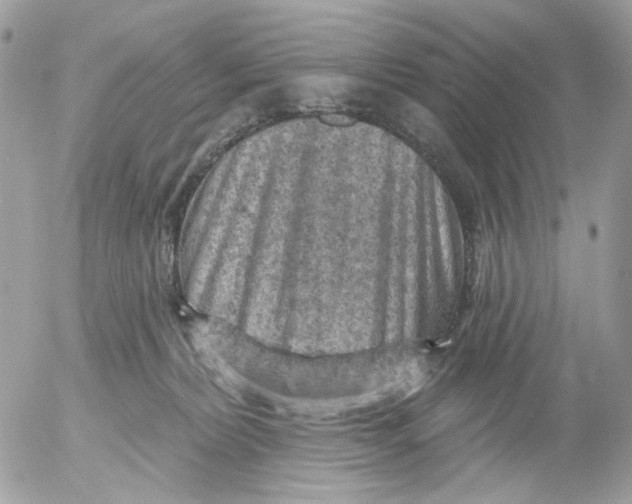 X0000052570228200507292014