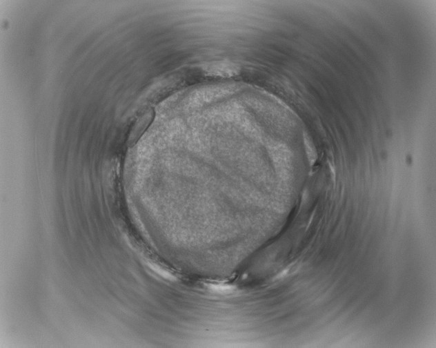 X0000052570229200507292014