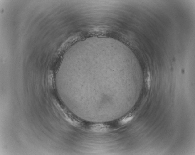 X0000052570231200507292014