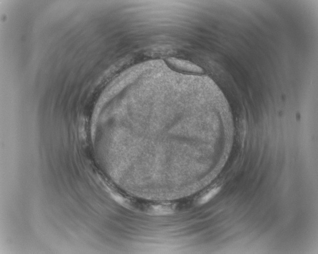 X0000052570232200507292014