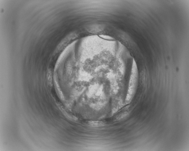 X0000052570234200507292014