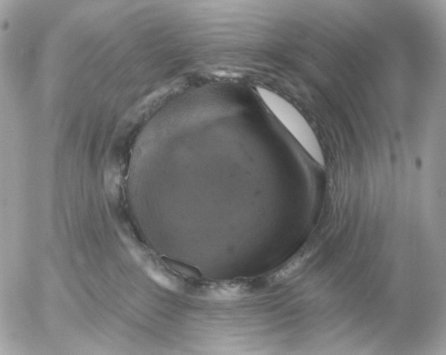 X0000052570235200507292014