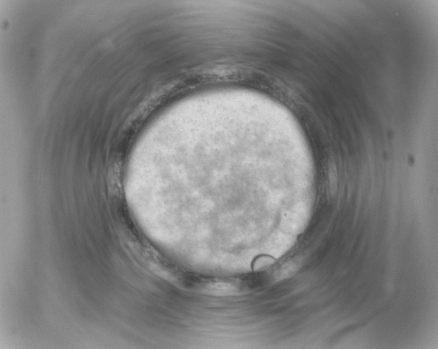 X0000052570236200507292014