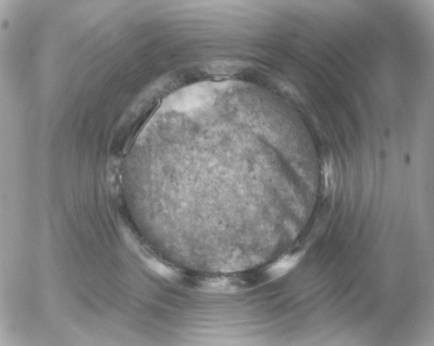 X0000052570237200507292014