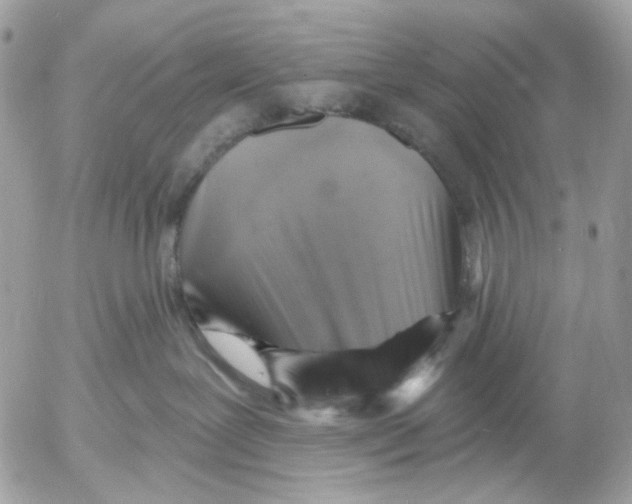 X0000052570239200507292014