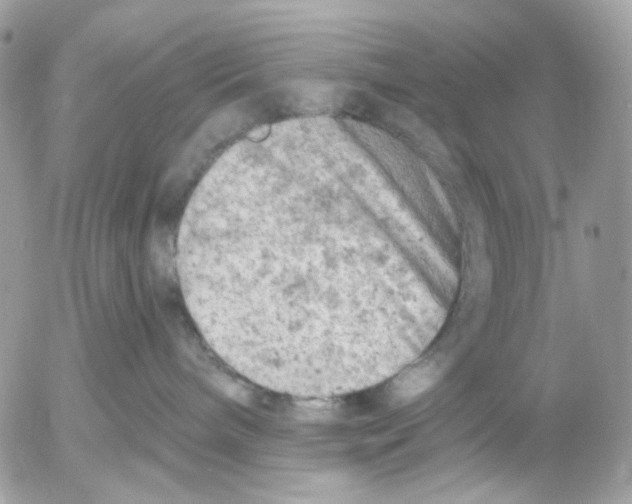 X0000052570240200507292014