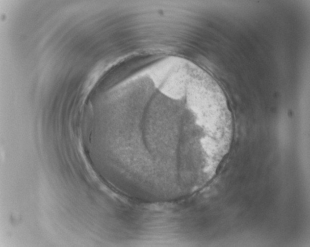 X0000052570241200507292013