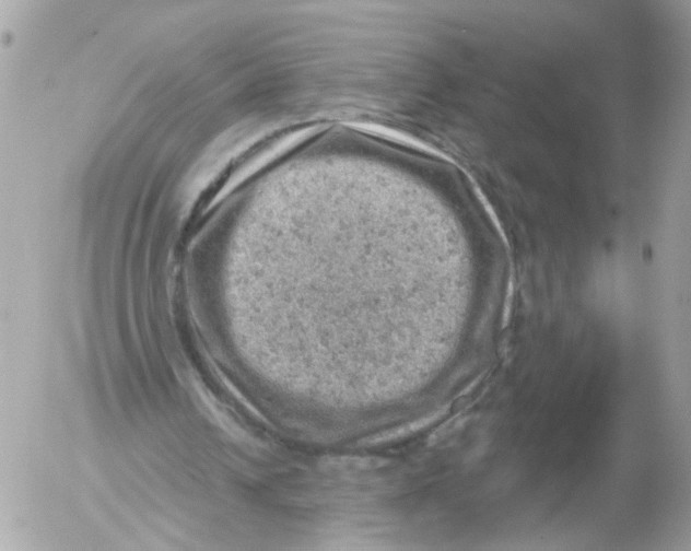 X0000052570242200507292013